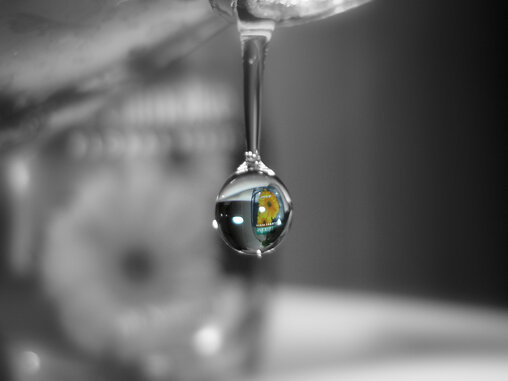 Water droplet